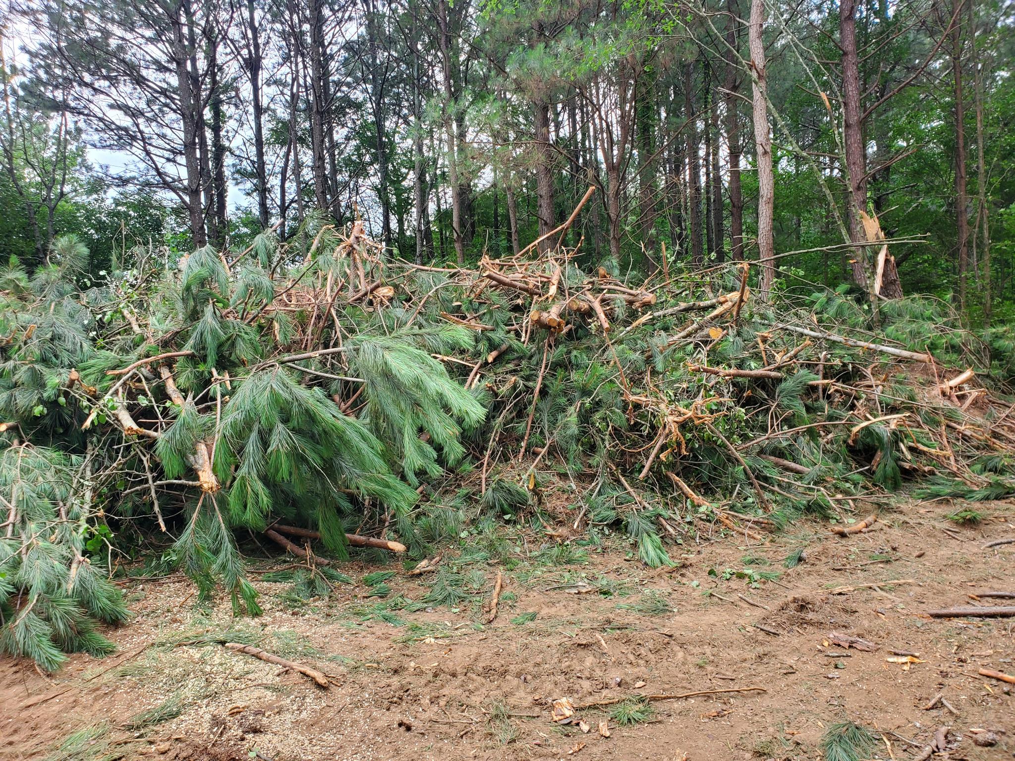 Cleared ground