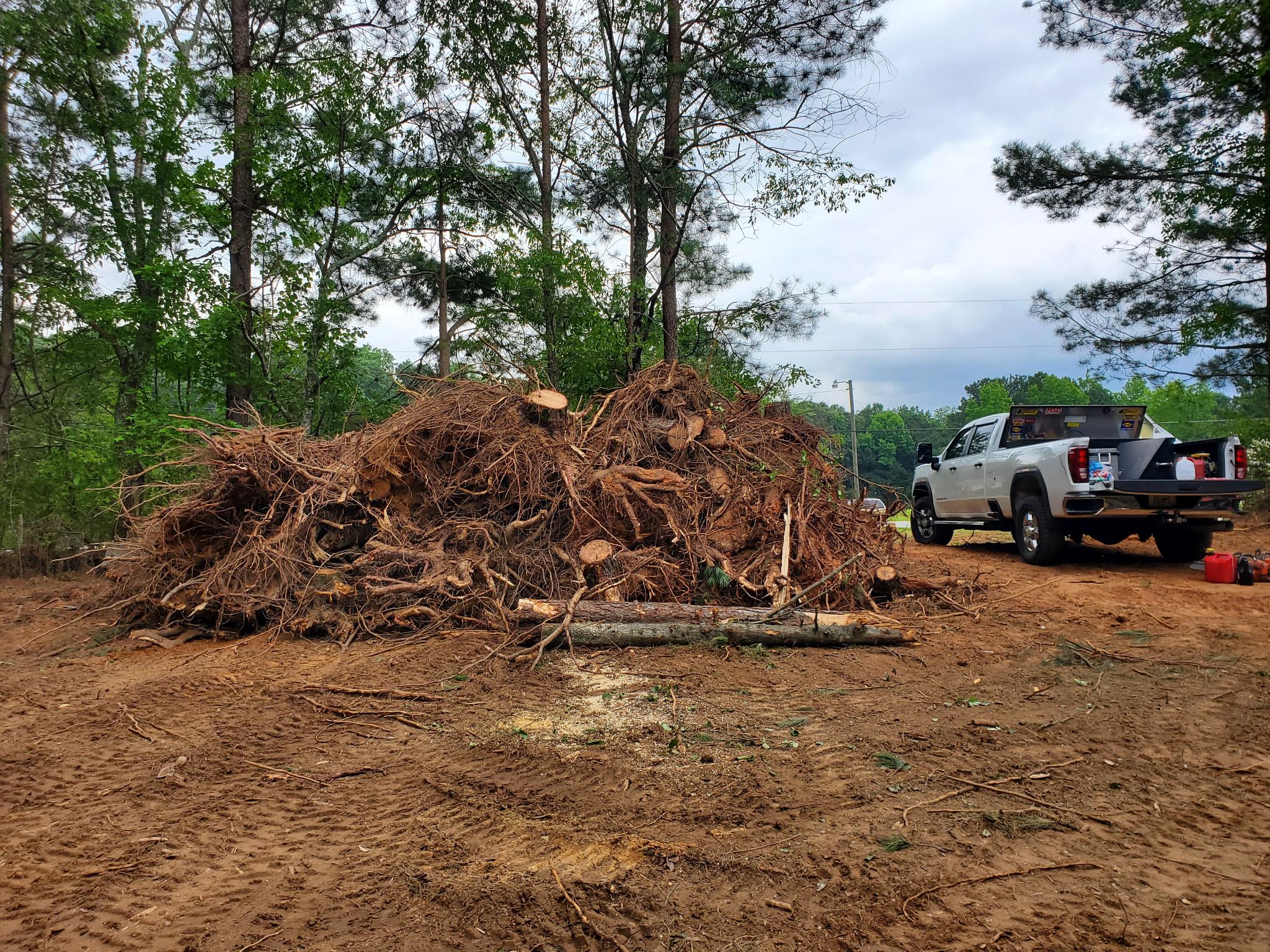 Site progress