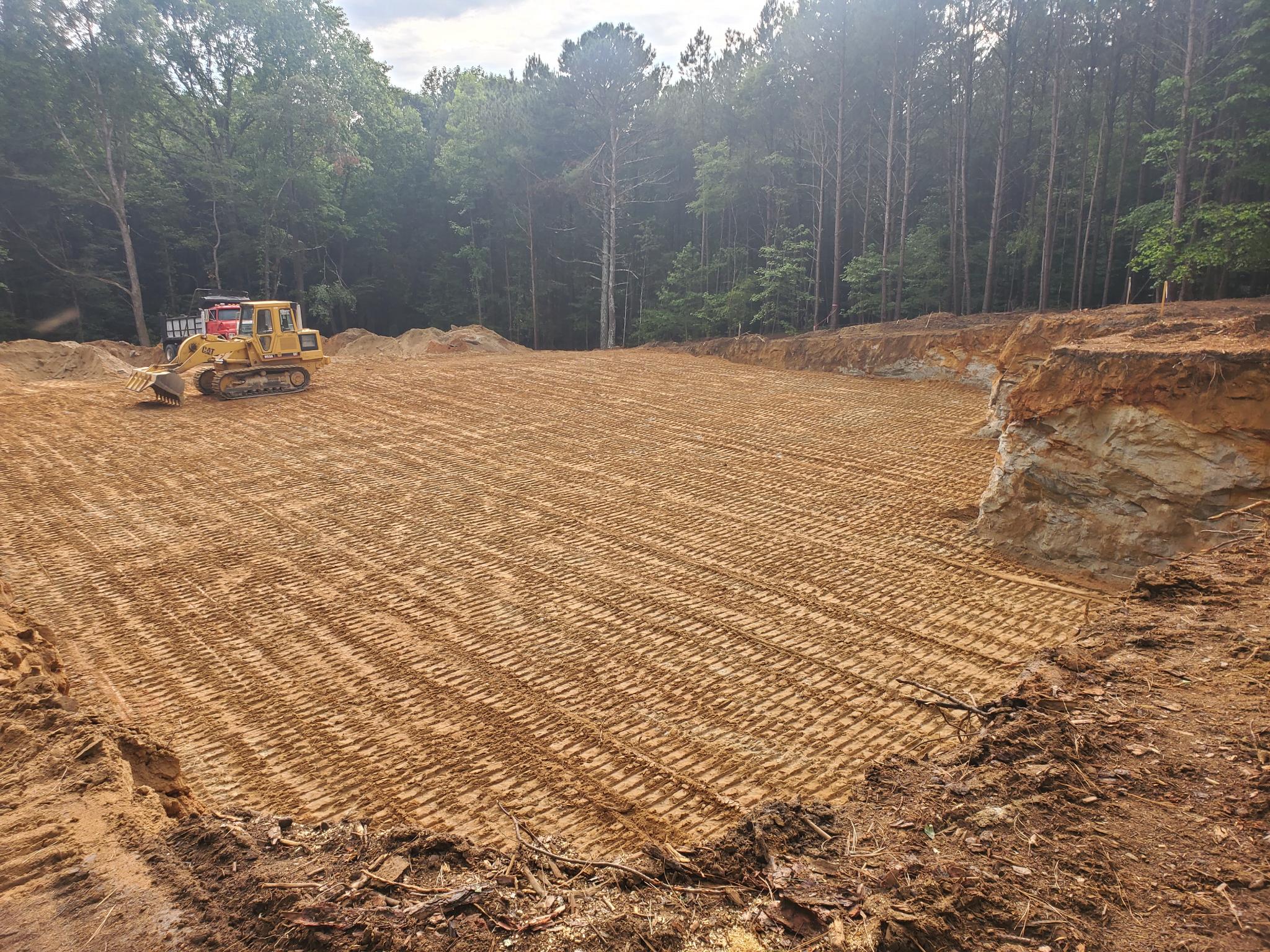 Cleared ground view